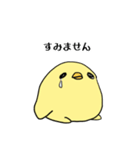 ひよこのスタンプ（個別スタンプ：19）