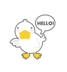 DUCKY The Cute White Duck（個別スタンプ：1）