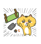 Orange cat JOJO（個別スタンプ：27）