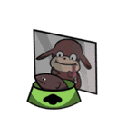 Pet（個別スタンプ：15）