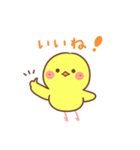 タイピングひよこ（個別スタンプ：23）