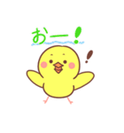タイピングひよこ（個別スタンプ：31）