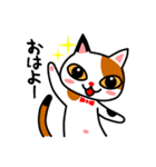 三毛猫のみいちゃん（個別スタンプ：4）