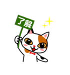 三毛猫のみいちゃん（個別スタンプ：5）