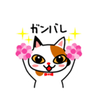 三毛猫のみいちゃん（個別スタンプ：13）