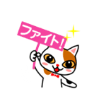 三毛猫のみいちゃん（個別スタンプ：14）