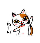 三毛猫のみいちゃん（個別スタンプ：22）