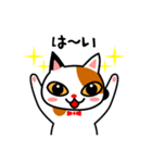 三毛猫のみいちゃん（個別スタンプ：23）