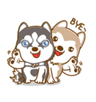 Coffee and Latte Husky（個別スタンプ：4）