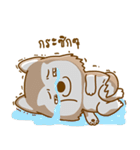 Coffee and Latte Husky（個別スタンプ：9）