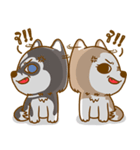 Coffee and Latte Husky（個別スタンプ：14）