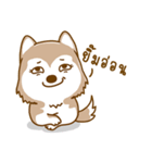Coffee and Latte Husky（個別スタンプ：16）