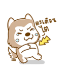 Coffee and Latte Husky（個別スタンプ：19）