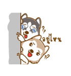 Coffee and Latte Husky（個別スタンプ：21）