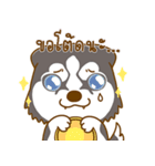 Coffee and Latte Husky（個別スタンプ：25）