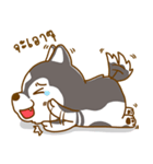 Coffee and Latte Husky（個別スタンプ：27）