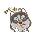 Coffee and Latte Husky（個別スタンプ：29）