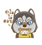 Coffee and Latte Husky（個別スタンプ：31）
