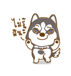 Coffee and Latte Husky（個別スタンプ：36）