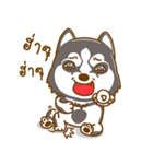 Coffee and Latte Husky（個別スタンプ：39）