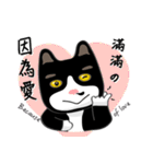 Bibi cat have a runny nose. Two（個別スタンプ：5）