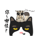 Bibi cat have a runny nose. Two（個別スタンプ：8）