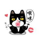 Bibi cat have a runny nose. Two（個別スタンプ：9）