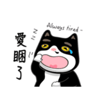 Bibi cat have a runny nose. Two（個別スタンプ：13）