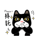 Bibi cat have a runny nose. Two（個別スタンプ：21）