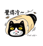 Bibi cat have a runny nose. Two（個別スタンプ：22）