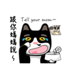 Bibi cat have a runny nose. Two（個別スタンプ：34）