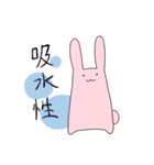 吸水性うさぎ（個別スタンプ：1）