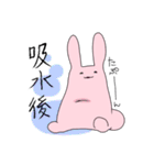 吸水性うさぎ（個別スタンプ：3）