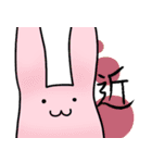 吸水性うさぎ（個別スタンプ：16）