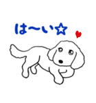 白い犬・ジュニ（個別スタンプ：6）