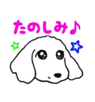 白い犬・ジュニ（個別スタンプ：21）