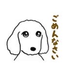 白い犬・ジュニ（個別スタンプ：23）