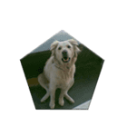Romi Dog（個別スタンプ：1）