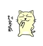 MIGOCAT(Practical language)（個別スタンプ：7）