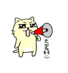 MIGOCAT(Practical language)（個別スタンプ：13）