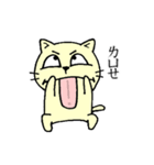 MIGOCAT(Practical language)（個別スタンプ：14）