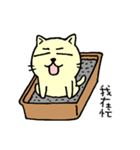 MIGOCAT(Practical language)（個別スタンプ：26）