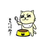 MIGOCAT(Practical language)（個別スタンプ：29）