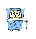 MIGOCAT(Practical language)（個別スタンプ：33）