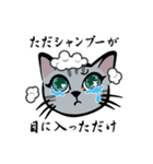 東京としま区銭湯オールスターズ（個別スタンプ：28）