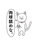 アポロジー猫（個別スタンプ：4）