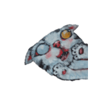 Cat cat love（個別スタンプ：13）