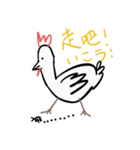 Golden Chicken Says（個別スタンプ：38）