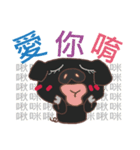 Black Pig Tsai（個別スタンプ：14）