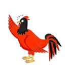 Roo the Red Rooster（個別スタンプ：3）